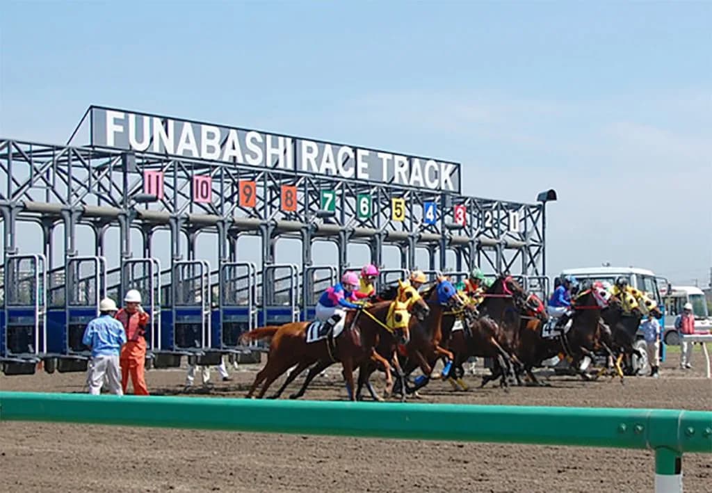 【ダイオライト記念2024予想】川崎記念に向けた重要ステップレース