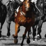 【朝日杯FS予想2025】アドマイヤクワッズに死角無し？完成度で一歩リード