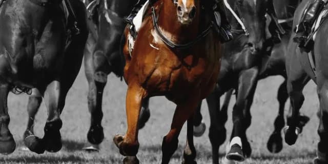 【JRAスプリンターズS予想2025】波乱の可能性大、データから浮上した4頭の正体は？