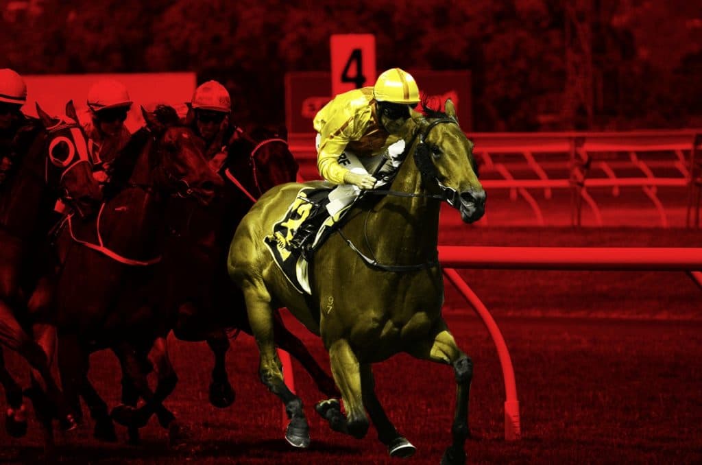 【目黒記念2025予想】背負いなれた54kg＆得意の東京コースで勝機到来！穴馬候補はヴェルミセル