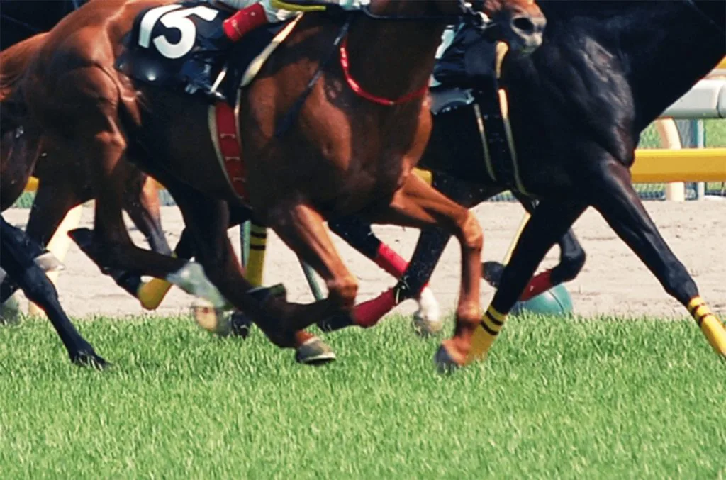 【湘南S予想2020】3勝クラス卒業順番待ちの有力馬4頭が激突！