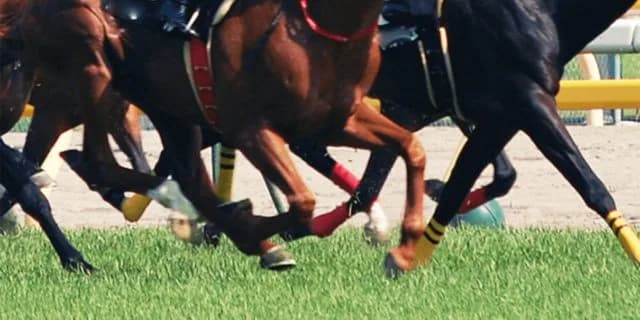 【湘南S予想2020】3勝クラス卒業順番待ちの有力馬4頭が激突！