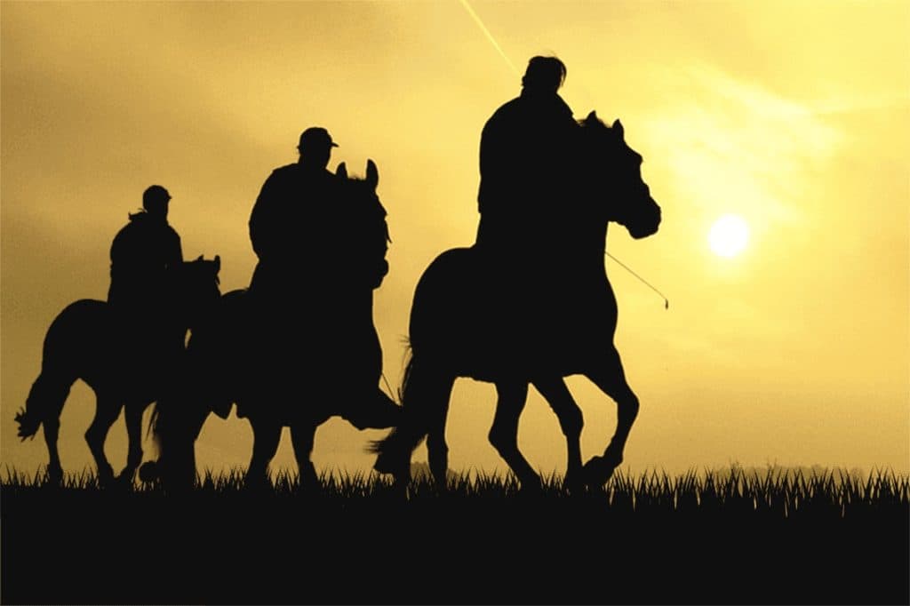 【若葉ステークス2025予想】皐月賞への切符を掴むのは誰だ？注目馬と穴馬を考察