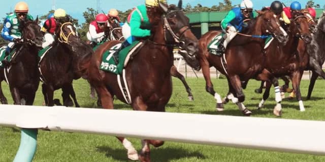 【アイビスSD予想2022】新潟名物“直千”レース！オールアットワンスやマリアズハートなど出走予定馬を考察