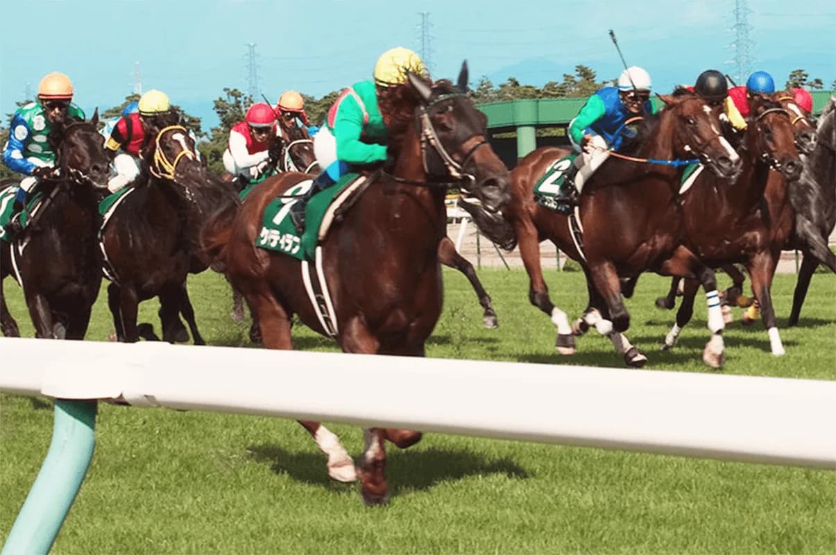 【アイビスSD予想2022】新潟名物“直千”レース！オールアットワンスやマリアズハートなど出走予定馬を考察