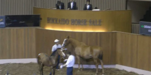 2020年JRAブリーズアップセール、競走馬のセールに新たな形