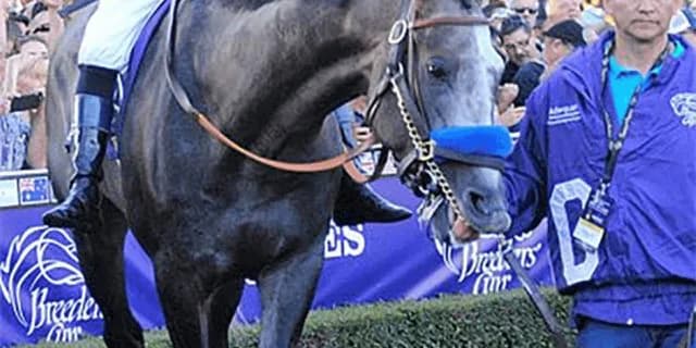 世界最高賞金獲得馬アロゲート、亡くなる