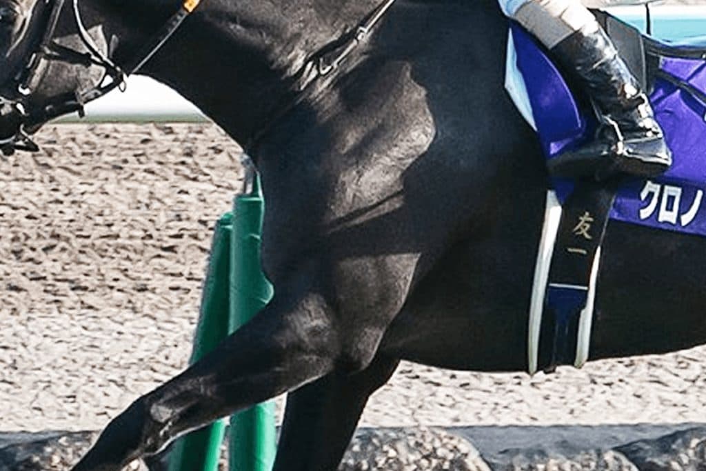 【JRA宝塚記念2021】クロノジェネシス✕C.ルメール「前走ドバイ組は勝てない」“負のジンクス”を破れるか？