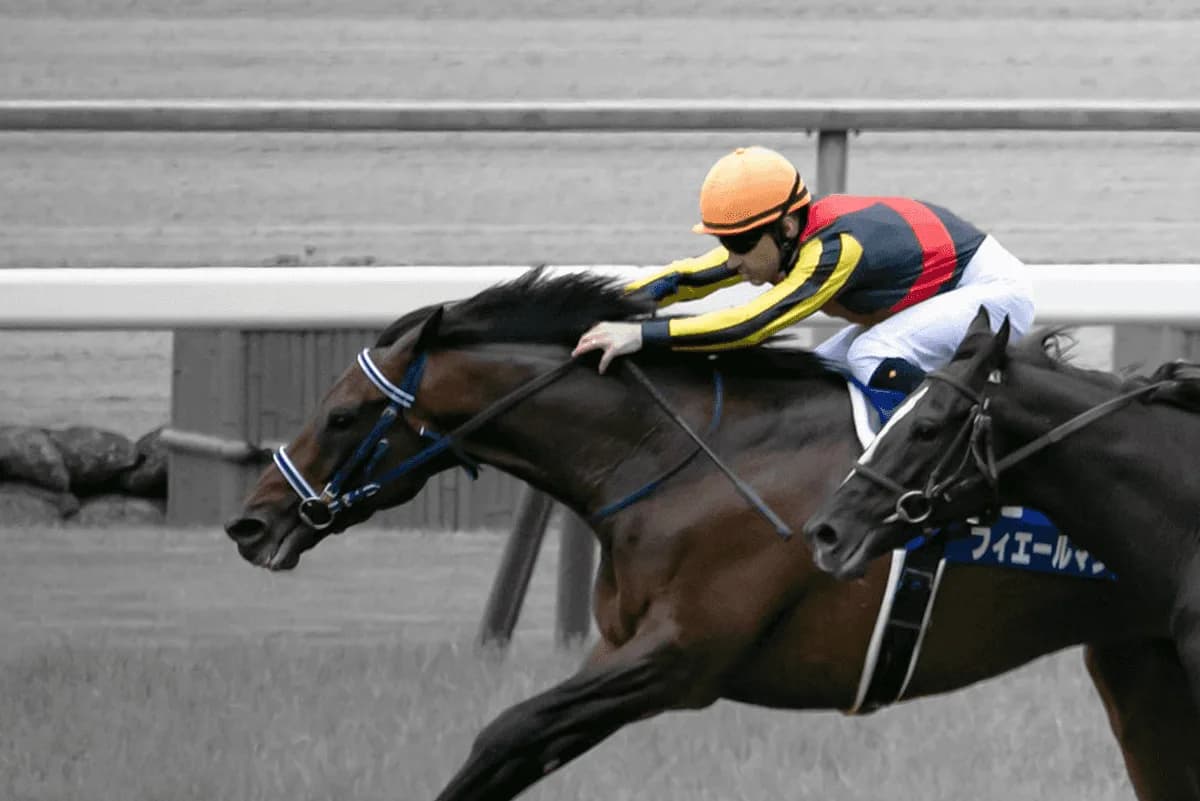 G1・3勝のフィエールマンが引退、種牡馬入りへ