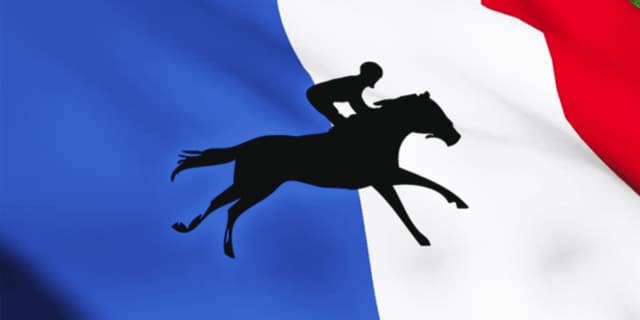 【海外競馬】ディープインパクト産駒“ハラジュク”仏でデビュー勝ち