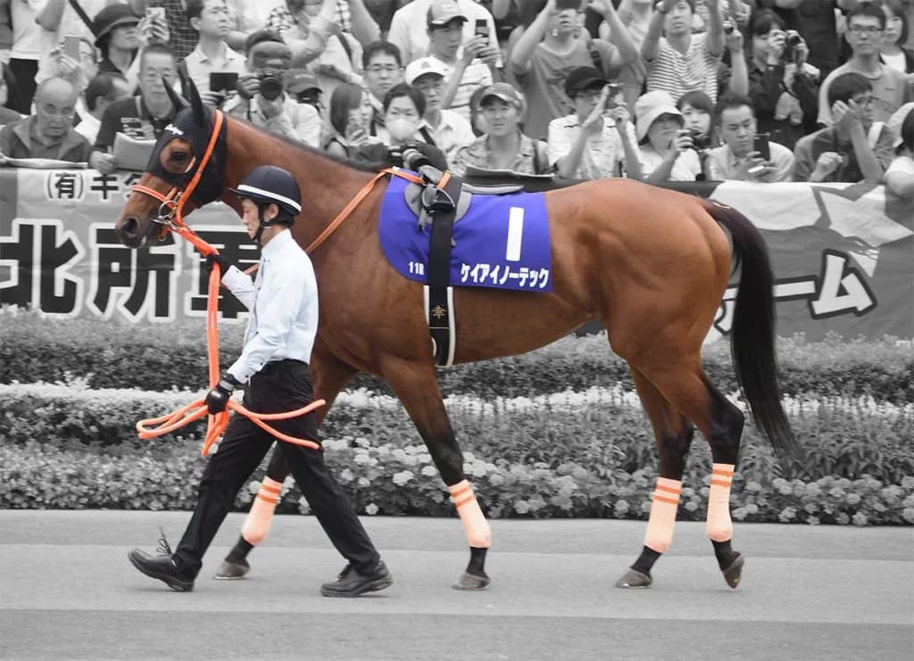 【JRA】ケイアイノーテック、フランスで種牡馬入り