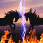 【フルーツラインC予想2025】若さか経験か？3歳勢と古馬勢の激突構図