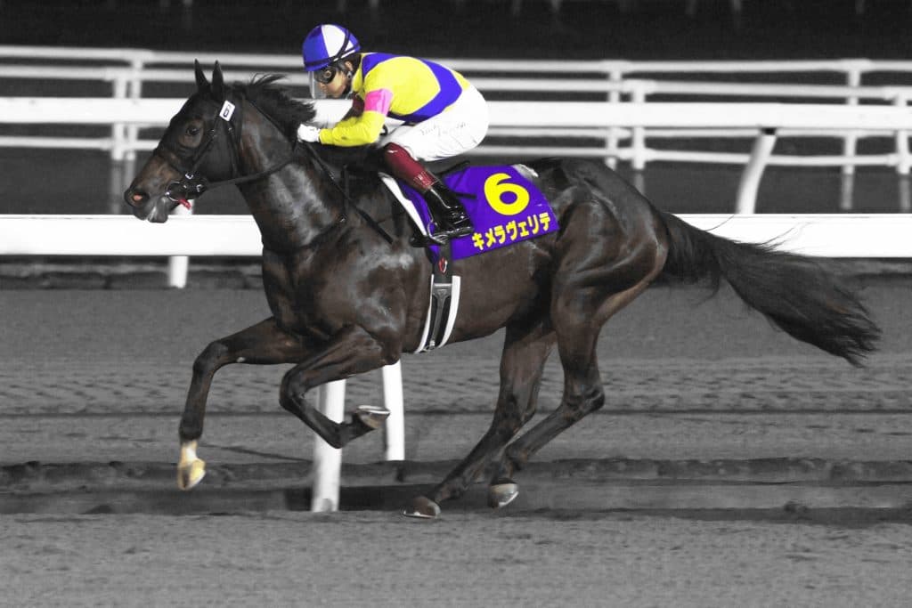 【ラジオNIKKEI賞2020】キメラヴェリテ回避、態勢整わず