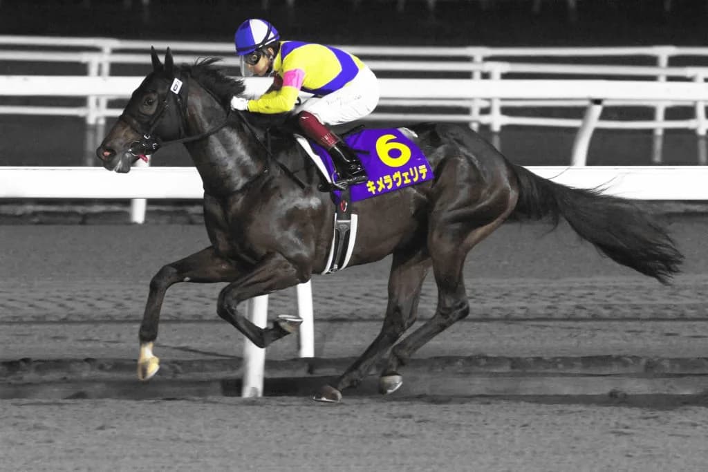 【ラジオNIKKEI賞2020】キメラヴェリテ回避、態勢整わず