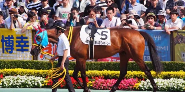 【チャンピオンズC予想2021】クリンチャー、好相性パートナーと巻き返しへ