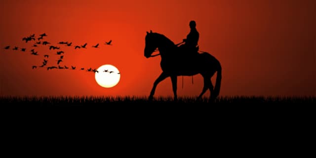 【注目新馬】アカイトリノムスメ、大物への期待大