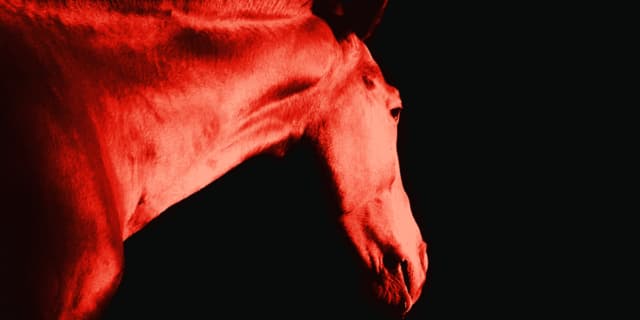 【JRA七夕賞2021】ヴァンケドミンゴ、一気に条件好転