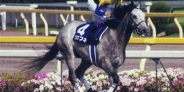 “芦毛の怪物”クロフネが老衰で死亡