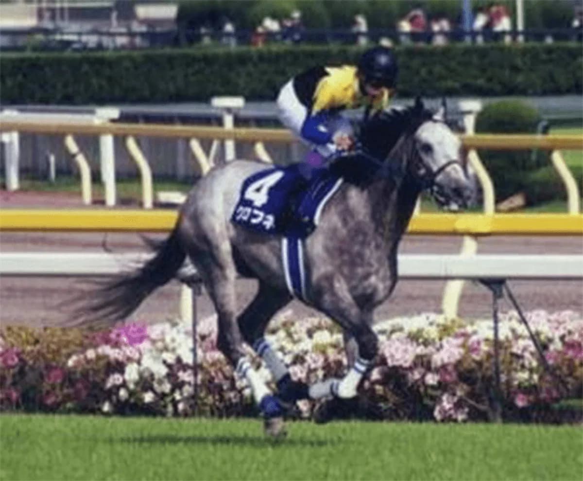 クロフネ、種牡馬を引退