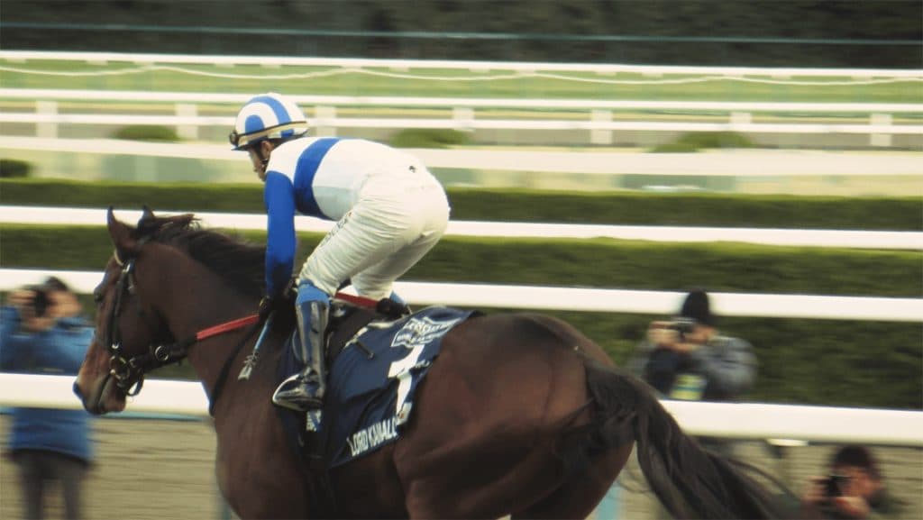 【海外競馬】世界のロードカナロア！アイルランドで産駒が重賞制覇