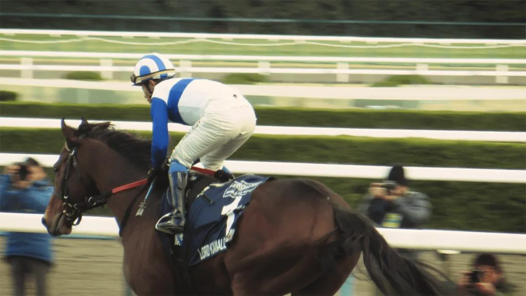 【海外競馬】世界のロードカナロア！アイルランドで産駒が重賞制覇