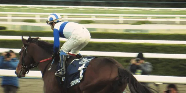 【海外競馬】世界のロードカナロア！アイルランドで産駒が重賞制覇