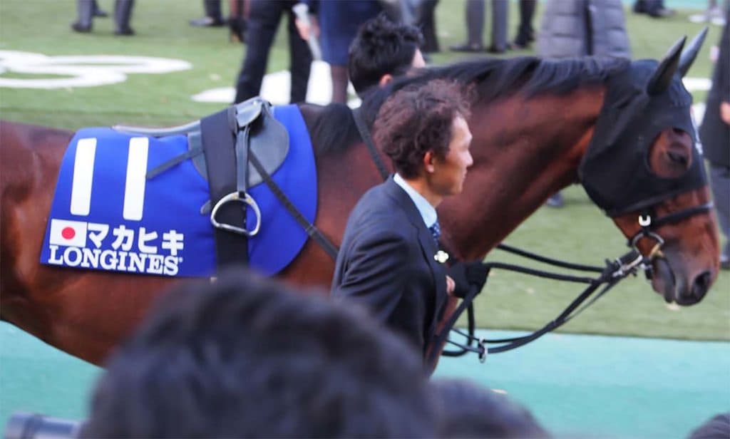 【札幌記念2020】マカヒキ回避、体調整わず