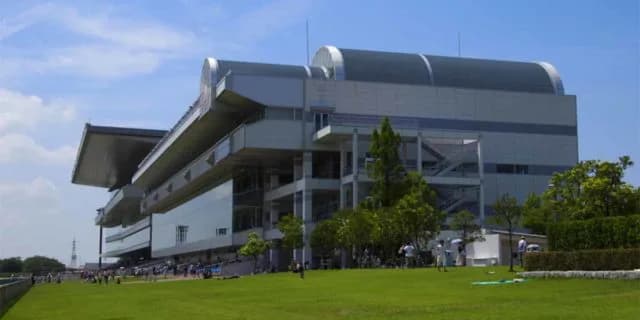 【新潟記念2024予想】サマー2000シリーズ最終戦！ライトバックやアリスヴェリテなど出走予定馬を考察