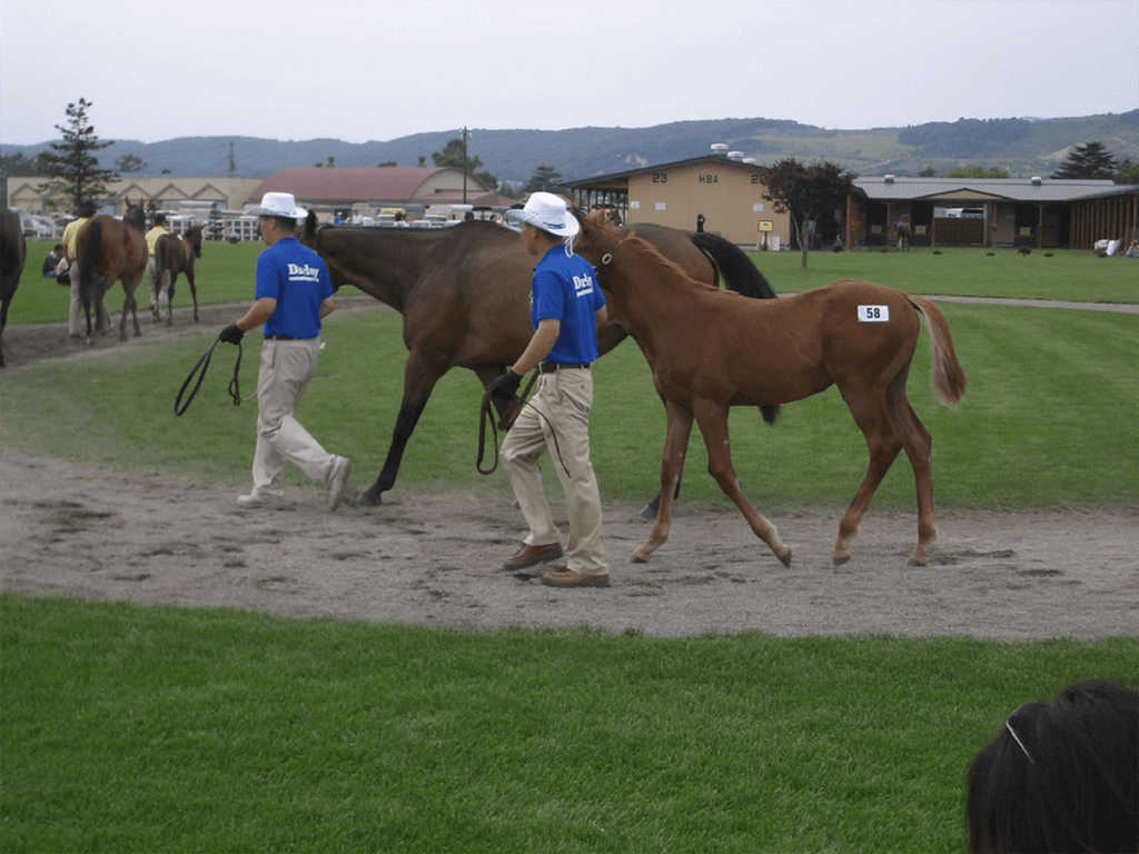 要注目の良血馬が目白押しのセール、まもなく開幕