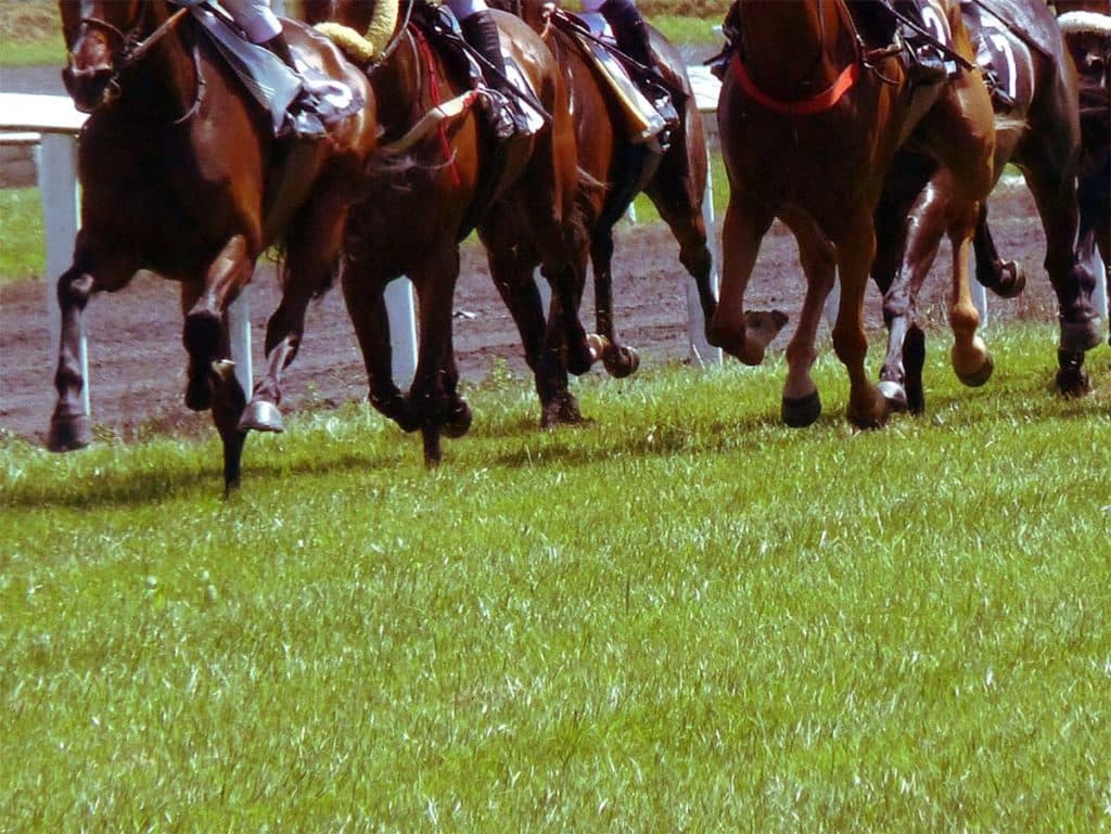 【忘れな草賞2024予想】オークスへ万全を期すなら必勝の構えで臨みたい一戦