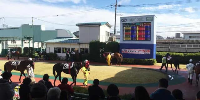 【ゴールドカップ予想2023】連覇気配濃厚、勢いが止まらないスマイルウィ