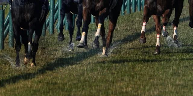 JRAラジオNIKKEI賞（2020）の穴馬は重馬場適性のあるあの馬に期待！