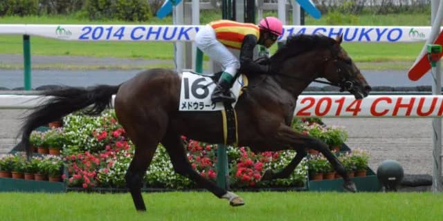 2018年七夕賞を制し、障害界でも活躍したメドウラークが引退