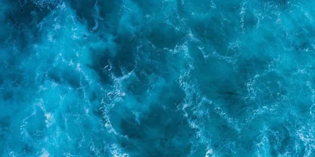 札幌記念（2020）のサインは“モーリシャス貨物船座礁”！推奨サイン馬1頭とは？