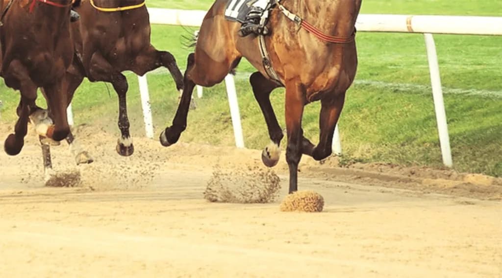 【JRAアニバーサリーS予想2025】条件好転で狙いたい軽ハンデ馬とは？