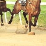 【舞鶴ステークス予想2026】4歳馬中心のメンバー構成も、注目は5歳馬