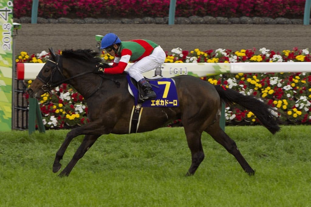 JRAエポカドーロ引退、2018年の皐月賞馬