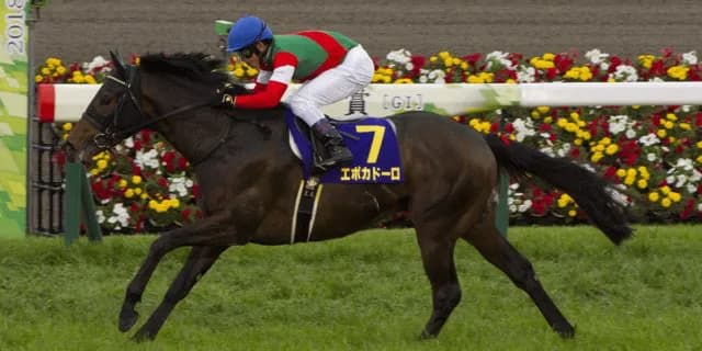 JRAエポカドーロ引退、2018年の皐月賞馬