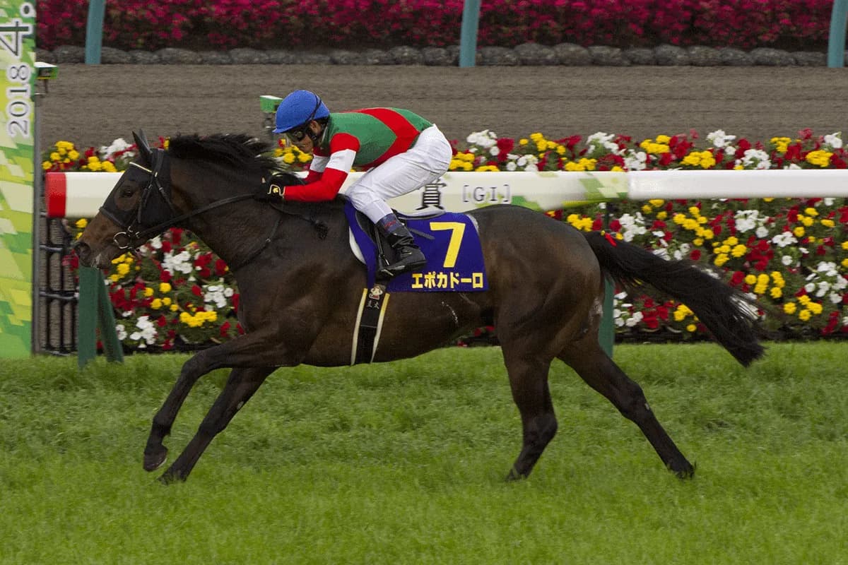 JRAエポカドーロ引退、2018年の皐月賞馬