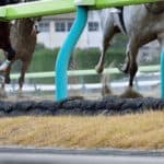 【みやこステークス2025予想】最終追い切り・調教内容が高評価の馬トップ3は？