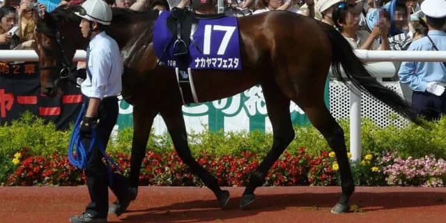 種牡馬引退から一転再評価のナカヤマフェスタ