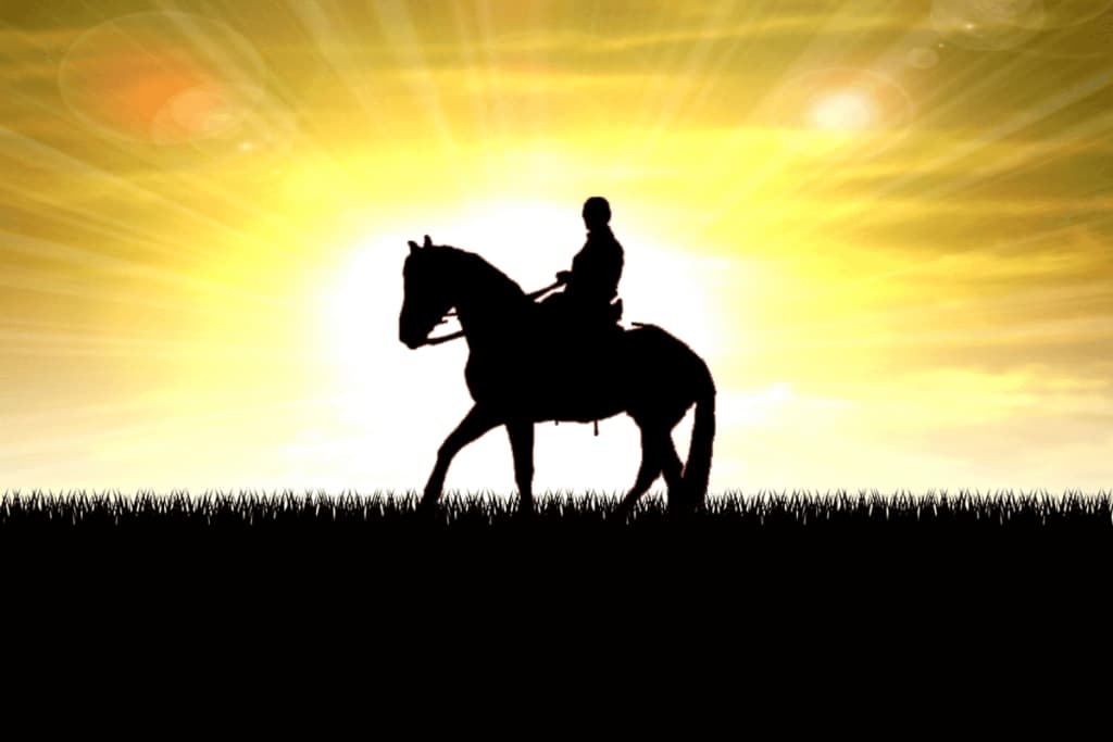 【京都2歳S予想2025】今年もG1級の馬誕生なるか？素質馬が揃う注目の一戦