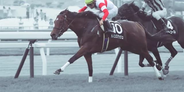 JRAダノンスマッシュ、ブリーダーズSSで種牡馬入り