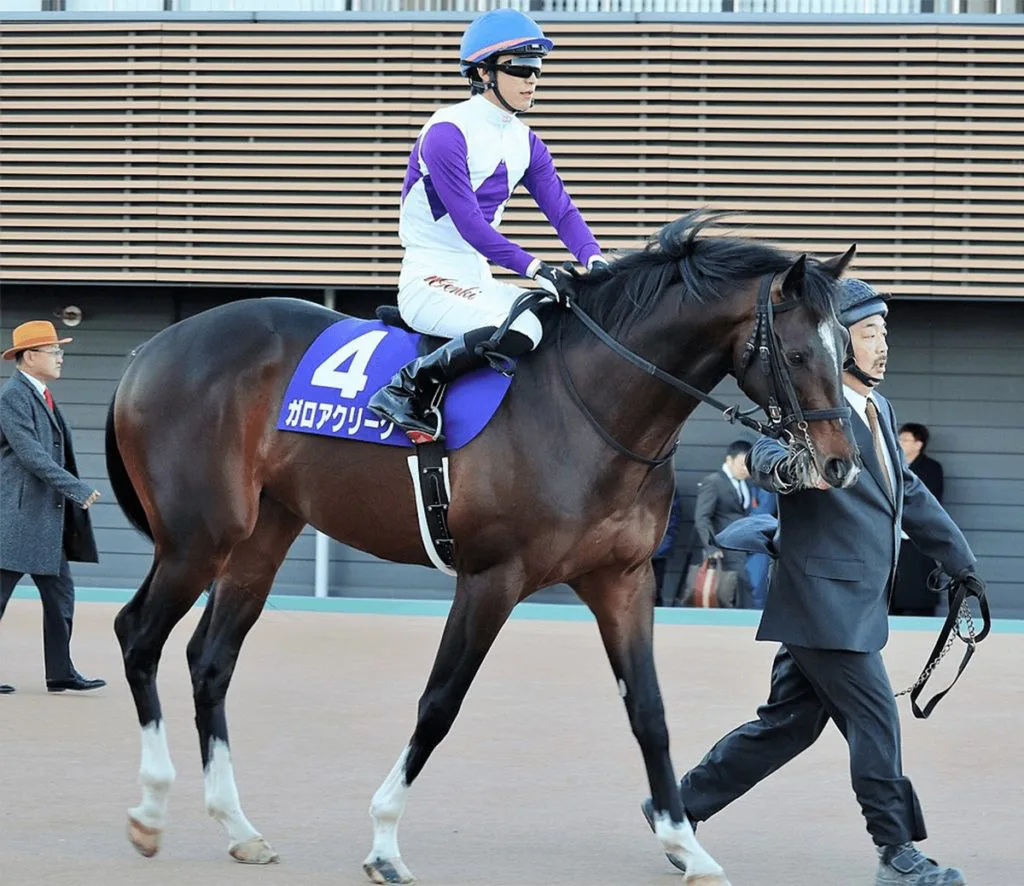 【セントライト記念2020予想】ガロアクリーク、短距離血統の前評判覆せるか