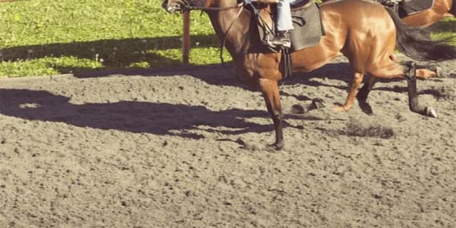 【マーチS予想2022】最終追い切り・調教内容が高評価の馬トップ3は？