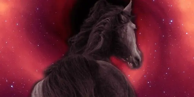 【オーロカップ予想2025】穴馬警戒が必須の波乱レース！鍵は“前走1400m組”