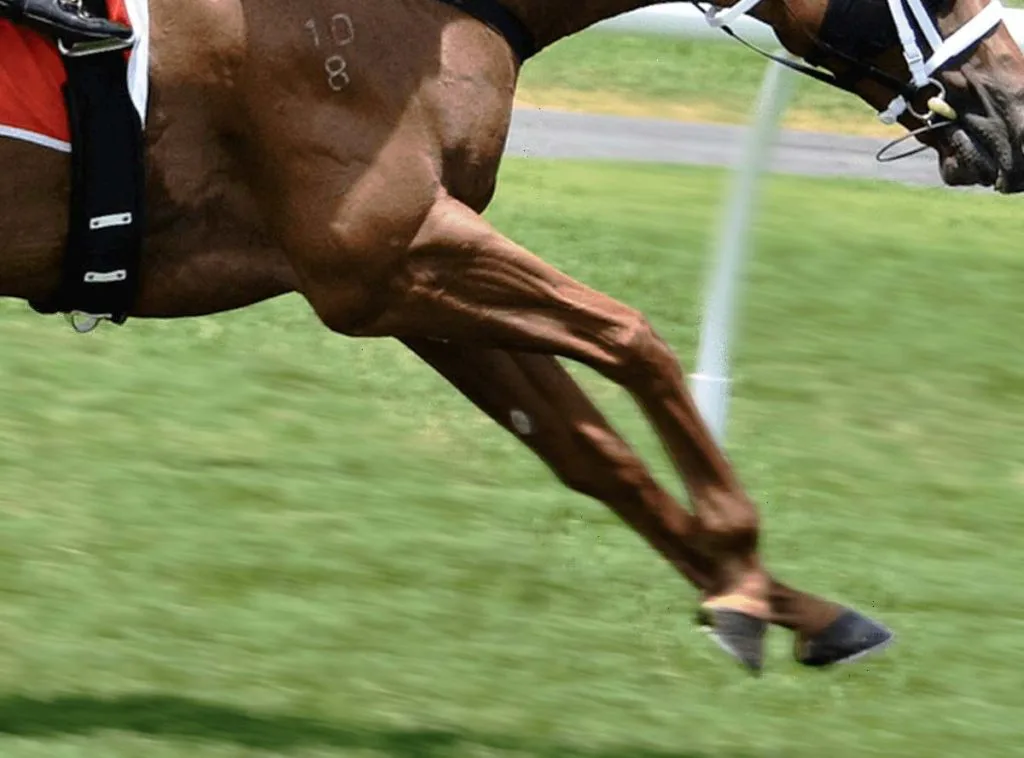 【ラジオNIKKEI賞2024予想】逃げ馬セットアップ、ハンデ58kgでもしぶとさ活かせるか？