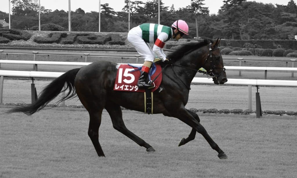 【富士S予想2020】レイエンダ、得意舞台に戻り巻き返しへ