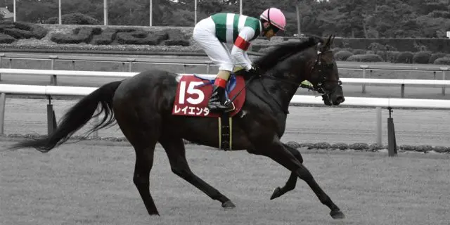 【ダービー卿CT予想2021】人気急落のレイエンダ、昨年好走実績のレースで巻き返しを図る！