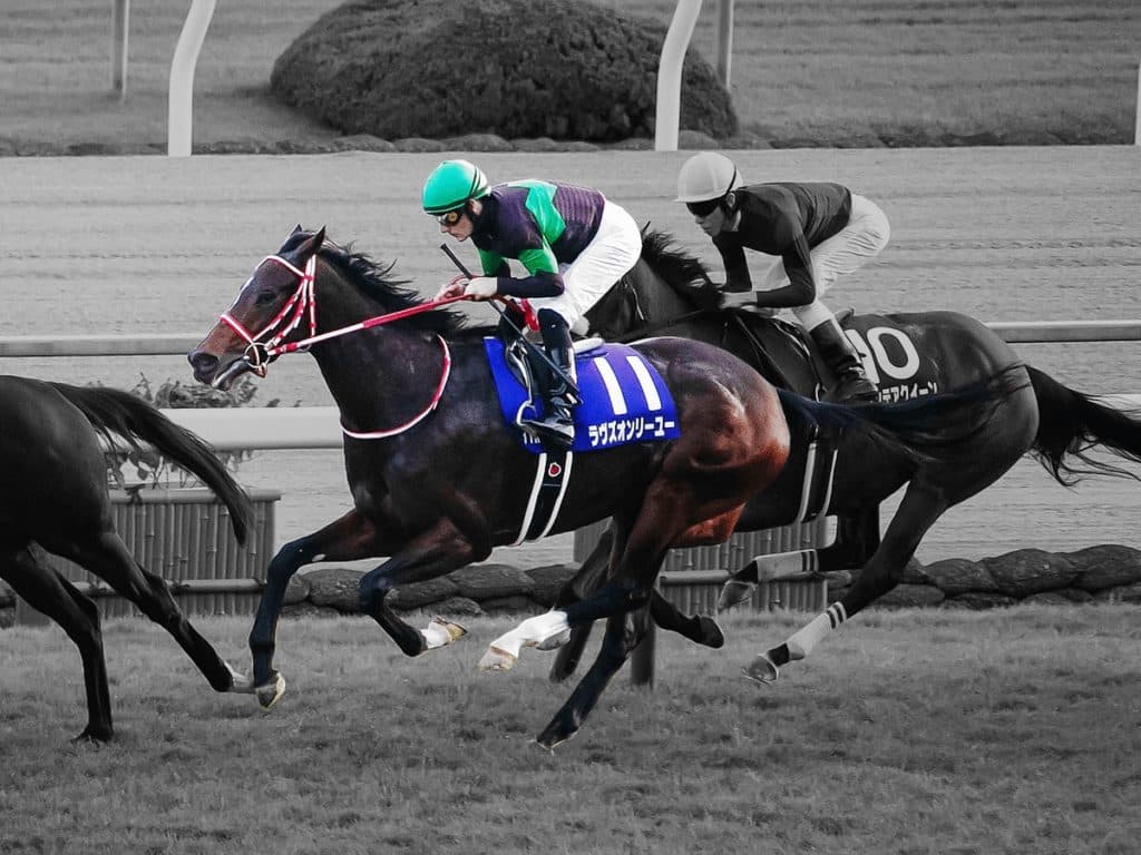 JRAラヴズオンリーユー、初年度交配はエピファネイアが第一候補